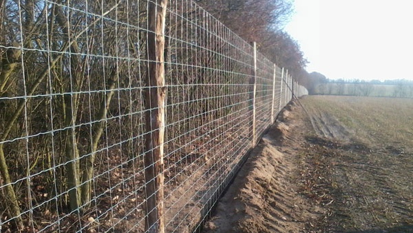 sistemas de vallado construcción de granjas de ciervos servicio integral vallado de grandes áreas Polonia