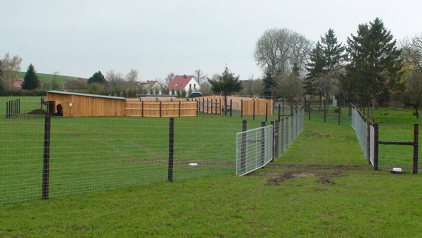 sistemas de vallado construcción de granjas de ciervos servicio integral vallado de grandes áreas Polonia