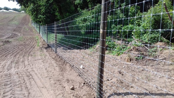 sistemas de vallado construcción de granjas de ciervos servicio integral vallado de grandes áreas Polonia